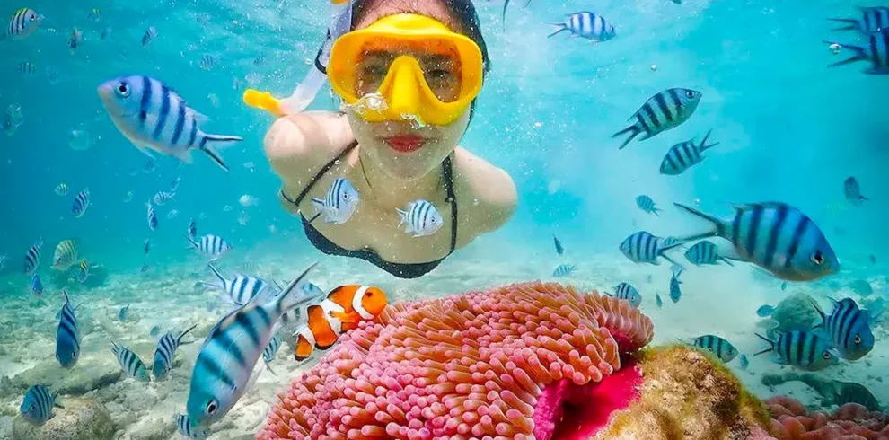 snorkeling